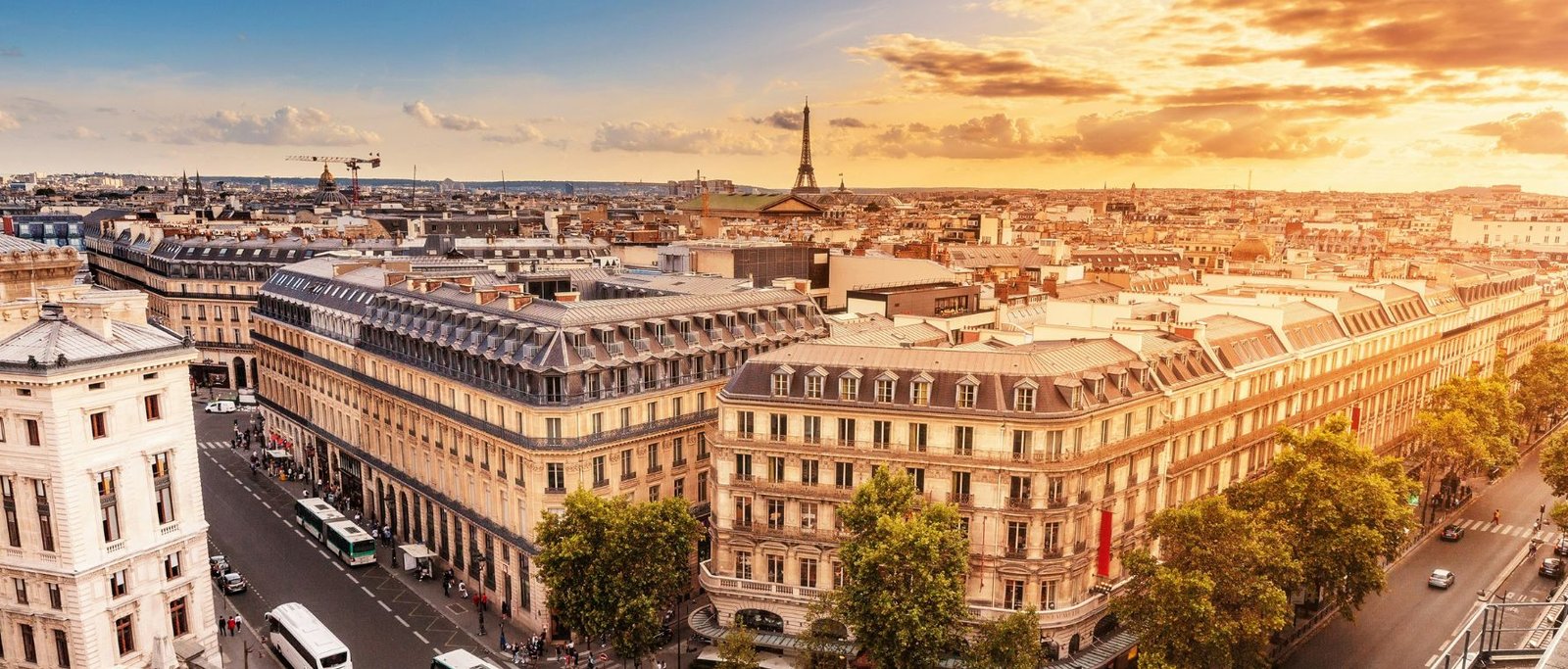 Contact agence architecte